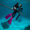 Freedive Vinnen Mares X-Wing Kort