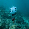 Onderwater ROV Fifish V-EVO Qysea