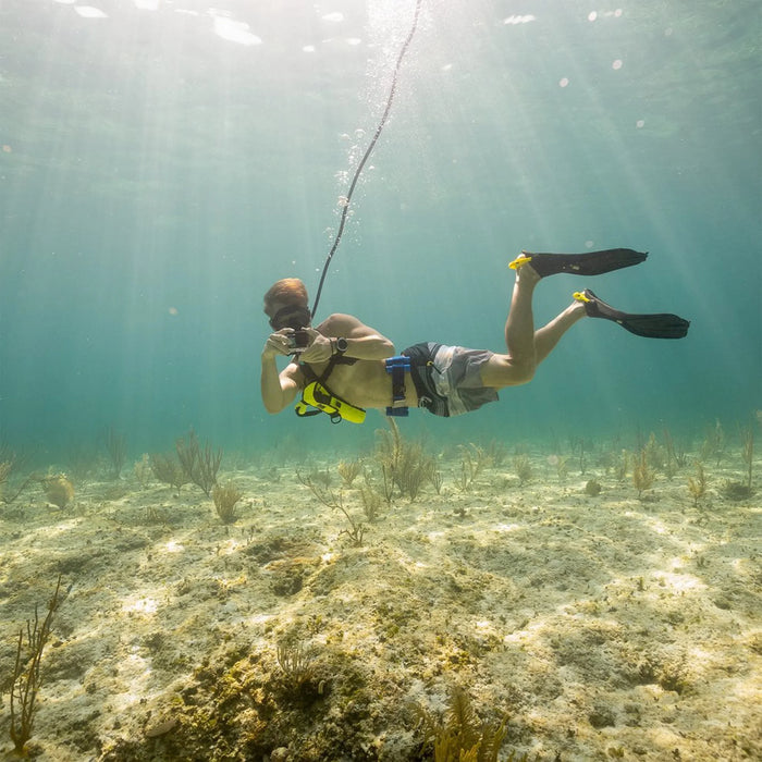 Batterijlader met stekker voor Dive System Nemo BLU3